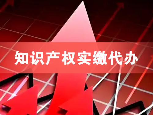 娄底知识产权实缴资本代办